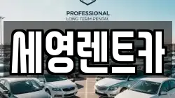 전북 전주시 덕진구 여의동2가 렌트카,단기렌트카,장기렌트카,중고차,중고차매매,중고차매입