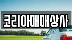 코리아매매상사