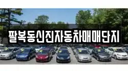 팔복동신진자동차매매단지