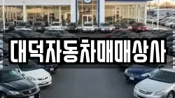 대덕자동차매매상사