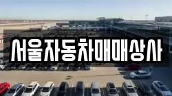 서울자동차매매상사