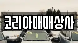 코리아매매상사