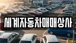 세계자동차매매상사