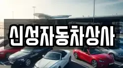 신성자동차상사