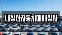 내장산자동차매매상사