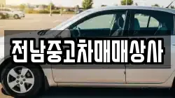 전북 정읍시 내장동 렌트카,단기렌트카,장기렌트카,중고차,중고차매매,중고차매입