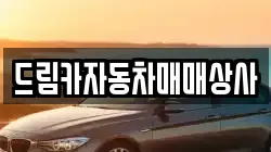 드림카자동차매매상사