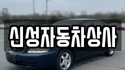신성자동차상사