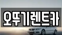 오뚜기렌트카