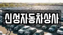 신성자동차상사