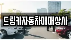 드림카자동차매매상사
