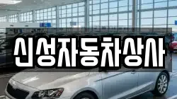 신성자동차상사