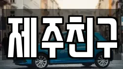 제주특별자치도 서귀포시 남원읍 렌트카,단기렌트카,장기렌트카,중고차,중고차매매,중고차매입