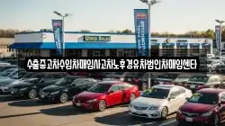 제주특별자치도 서귀포시 보목동 렌트카,단기렌트카,장기렌트카,중고차,중고차매매,중고차매입