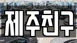 제주친구