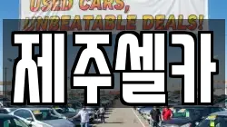 제주셀카