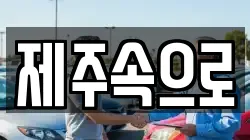 제주속으로