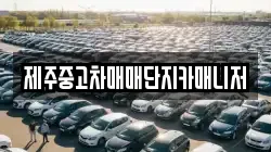 제주중고차매매단지카매니저