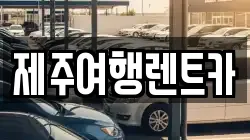제주특별자치도 제주시 내도동 렌트카,단기렌트카,장기렌트카,중고차,중고차매매,중고차매입