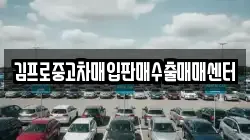 김프로중고차매입판매수출매매센터