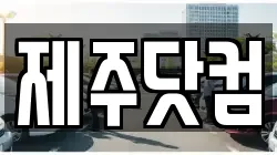 제주닷컴