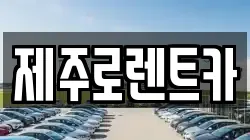 제주특별자치도 제주시 도두이동 렌트카,단기렌트카,장기렌트카,중고차,중고차매매,중고차매입