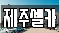 제주셀카