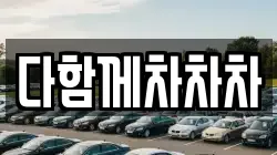 다함께차차차