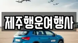 제주행운여행사
