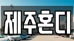 제주혼디