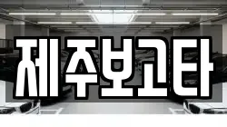 제주특별자치도 제주시 연동 렌트카,단기렌트카,장기렌트카,중고차,중고차매매,중고차매입