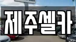 제주셀카