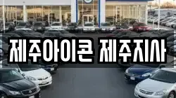 제주아이콘 제주지사