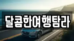 달콤한여행탐라