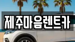 제주마음렌트카