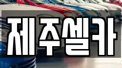 제주셀카
