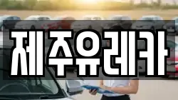 제주유레카