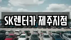 제주특별자치도 제주시 용담삼동 렌트카,단기렌트카,장기렌트카,중고차,중고차매매,중고차매입