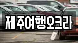 제주특별자치도 제주시 월평동 렌트카,단기렌트카,장기렌트카,중고차,중고차매매,중고차매입