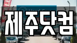 제주닷컴