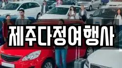 제주다정여행사