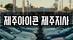 제주아이콘 제주지사
