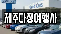 제주다정여행사