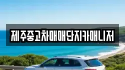 제주중고차매매단지카매니저