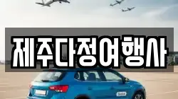 제주다정여행사