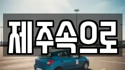 제주특별자치도 제주시 일도일동 렌트카,단기렌트카,장기렌트카,중고차,중고차매매,중고차매입