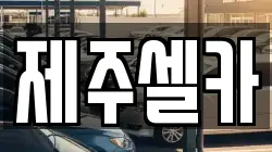 제주셀카
