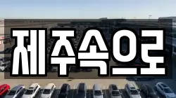 제주속으로