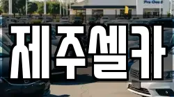 제주셀카