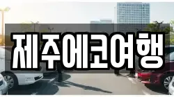 제주에코여행